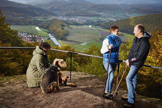 Gruppe mit Gehstock aus Edelholz